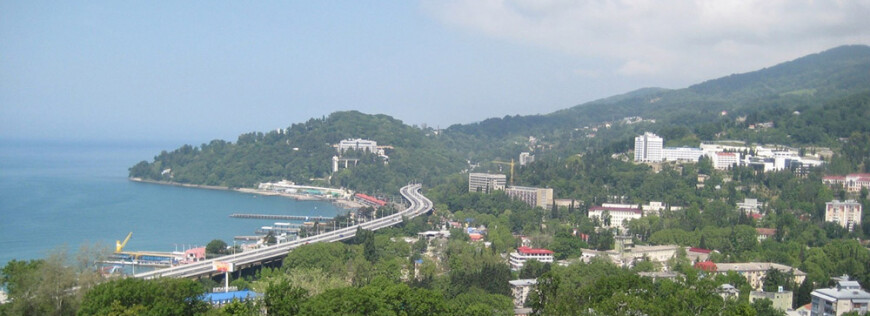 Изображение Хосты #1