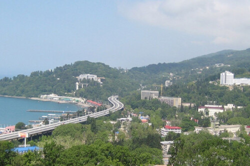 Изображение Хосты #55