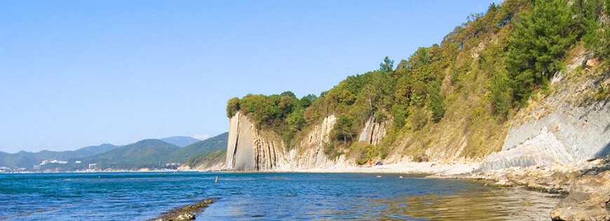 Изображение Агоя #1