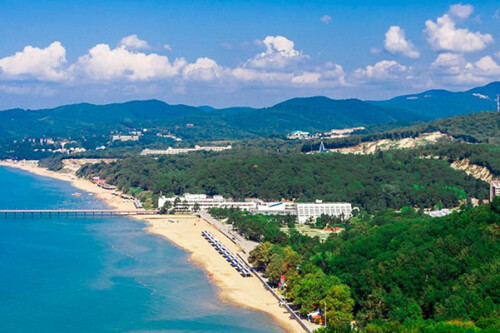 Изображение Пляхо #44