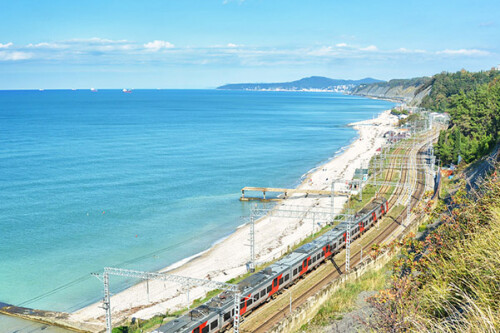 Изображение Шепси #57