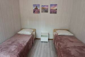 Изображение Изображение: 2-местный «Эконом розовый» #1 #1