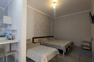 Изображение Изображение: 3-х местная студия с кухней #1 #2