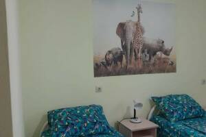 Изображение Изображение: Двухместный «Бюджетный» #1 #14