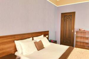 Изображение Изображение: 2-х местный Полулюкс с террасой #1 #9