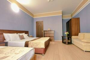 Изображение Изображение: 5-ти местный Полулюкс с террасой #1 #6