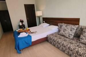 Изображение Изображение: 3-х местный Комфорт с балконом #1 #16