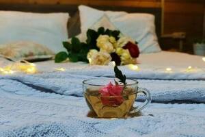 Изображение Изображение: 4-х местный номер Эко с отдельным входом #1 #1