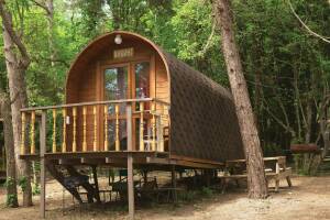 Изображение Изображение: Викинг #1 #1