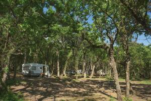 Изображение Изображение: Место для кемпера (автодома) #1 #4