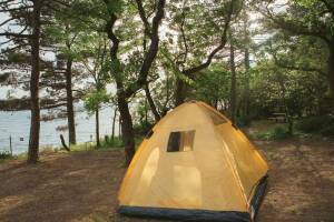 Изображение Изображение: Участок под палатку #1 #5