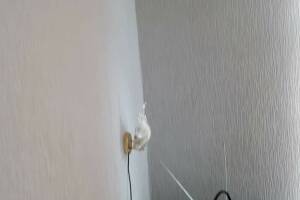 Изображение Изображение: Номер «Эконом» Трёхместный #1 #2