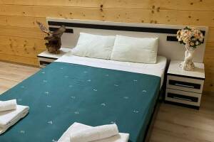 Изображение Изображение: Двухместный делюкс без балкона #1 #1