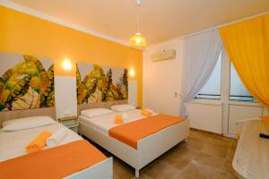 Изображение Изображение: 3-х местный. Завтраки включены #1 #4