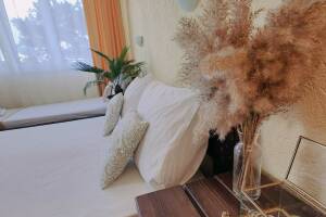 Изображение Изображение: 3х местный полулюкс с видом на территорию #1 #22