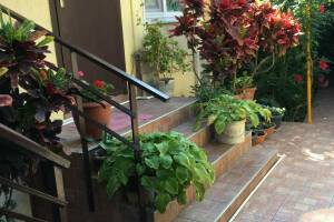 Изображение Изображение: 2-х местная комната #1 #1