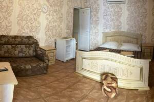 Изображение Изображение: Семейный 5-ти местный #1 #18