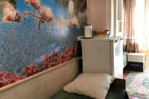 Изображение Изображение: Жилое помещение «Тропики» с отдельным входом #1 #5