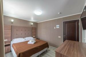 Изображение Изображение: Двухместный (БЕЗ Балкона Двухместный номер Делюкс) #1 #18