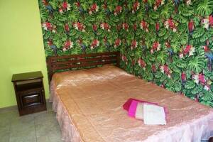 Изображение Изображение: 2-ух местный номер (с балконом, наличие уточнять) #1 #1