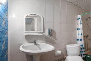 Изображение Изображение: Полукомфорт 3-х местный с общим балконом #1 #6