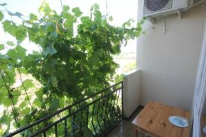 Изображение Изображение: № 7 Четырехместный номер с балконом #1 #5