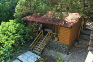 Изображение Изображение: Номер «Ель» #1 #1