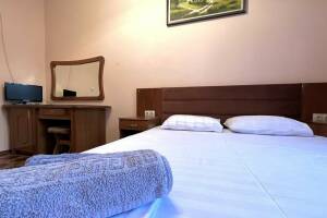 Изображение Изображение: Эконом 2-х местный #1 #1