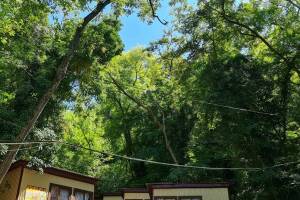 Изображение Изображение: Домик 3-х местный «Море сосен» #1 #3