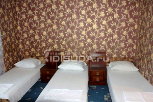 Изображение Изображение: Эконом 3-х местный с балконом #1 #9