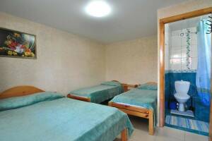 Изображение Изображение: Номер «четырехместный стандарт #1 #6