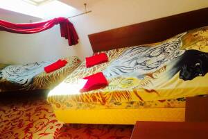 Изображение Изображение: Семейный номер #1 #3