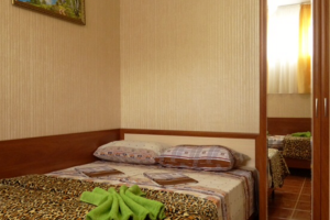 Изображение Изображение: Двухместный «Стандарт» #1 #1