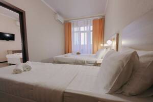 Изображение Изображение: Двухкомнатный 5-ти местный Люкс с балконом #1 #7