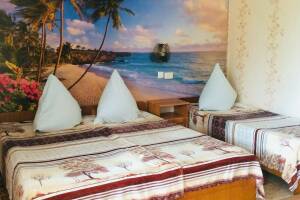 Изображение Изображение: Номер «Стандарт трехместный 1» #1 #1