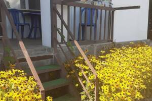 Изображение Изображение: 3-х местный стандарт #1 #1