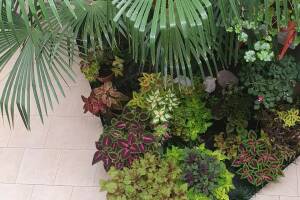 Изображение Изображение: Номер 3хместный, улучшенный, условия на этаже #1 #1