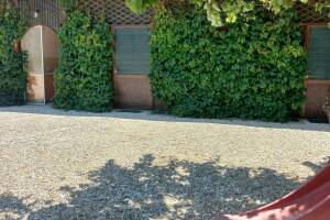 Изображение Изображение: Двухкомнатный с кухней шестиместный #1 #4