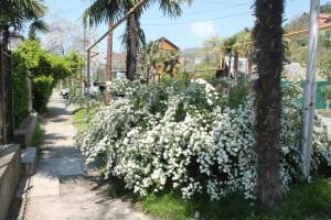 Изображение Изображение: 2-х местный «Стандарт» #1 #2