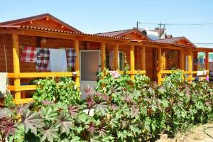 Изображение Изображение: 4-х местный деревянный коттедж #1 #2