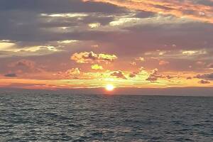 Изображение Изображение: Стандарт #1 #6