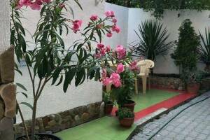 Изображение Изображение: 5-ти местный номер «По типу квартиры» #1 #6