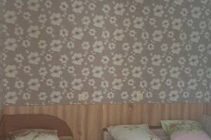 Изображение Изображение: «Эконом» 3-х местный #1 #1 #13