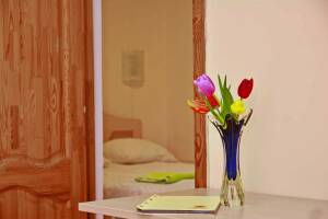 Изображение Изображение: 4-х местный «Полулюкс» 2-комнатный #1 #8