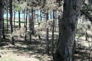 Изображение Изображение: Номер 26 «Комфорт» #1 #10