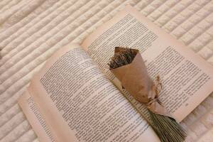 Изображение Изображение: Двухместный «Стандарт с видом на бассейн» #1 #5