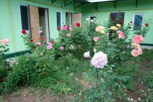 Изображение Изображение: Двухкомнатный номер № 1 со всеми удобствами #1 #3