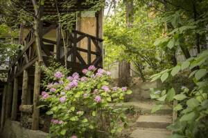 Изображение Изображение: Семёновский дом на 4−6 человек #1 #4