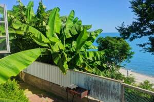 Изображение Изображение: Домик 1 #1 #1