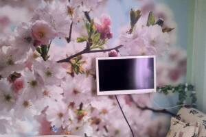 Изображение Изображение: Однокомнатный семейный «Весна» #1 #5